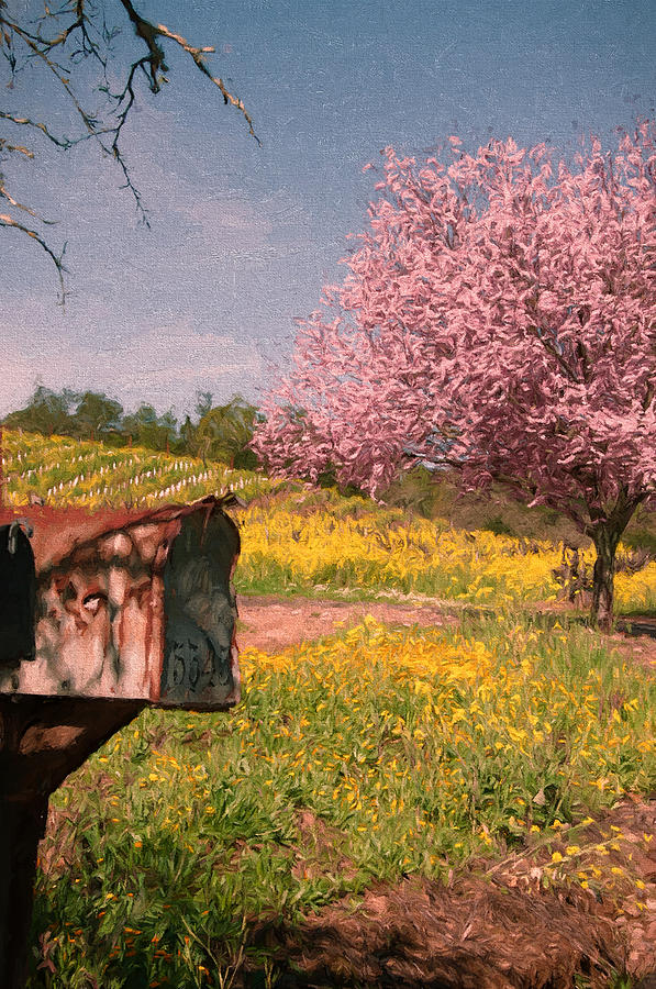 Spring Mixed Media - Youve Got Spring by John K Woodruff
