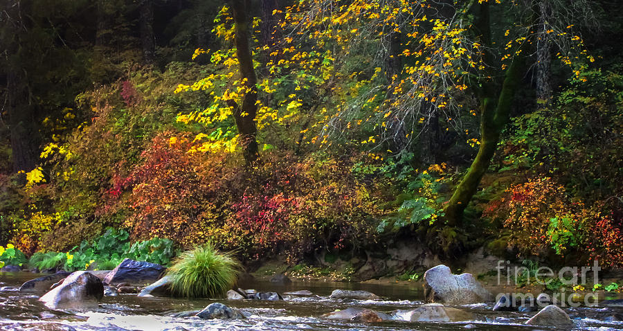Autumn on the Yuba River 2				 Photograph by Leslie Wells