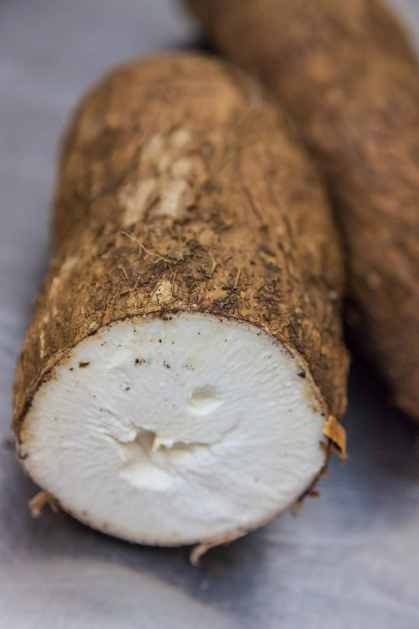 Vegetable Photograph - Yuca by Craig Lapsley