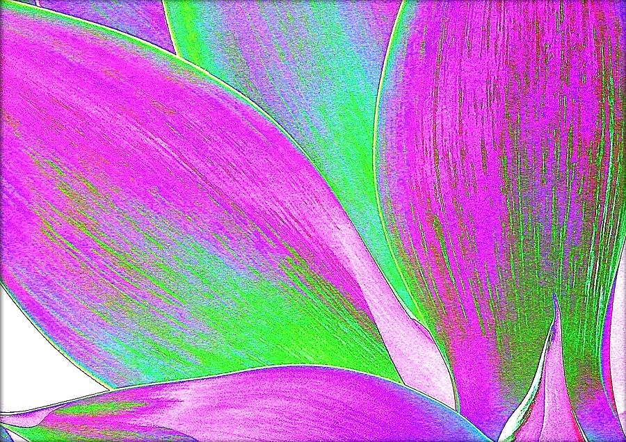 Yucca Abstract 1 Photograph by Kevin B Bohner