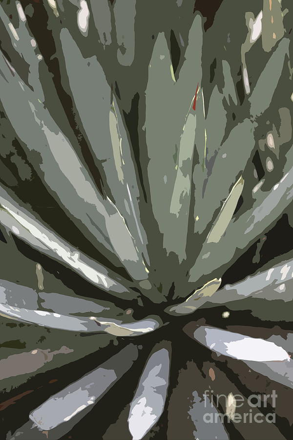 Yucca Photograph - Yucca Abstract by Christiane Schulze Art And Photography