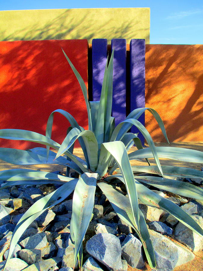Yucca Color Painting by Randall Weidner