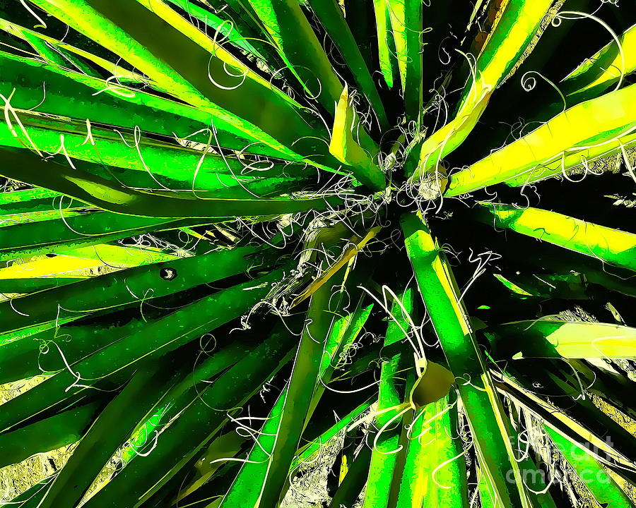 Yucca Whirls Digital Art by Tim Richards