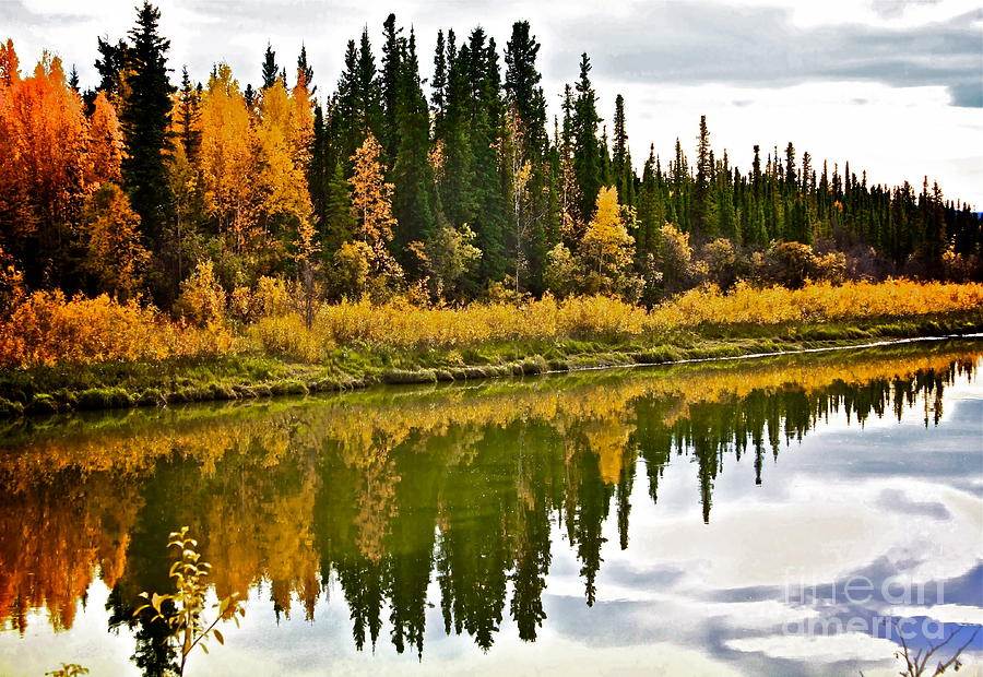 Yukon Autumn Photograph by Linda Bianic