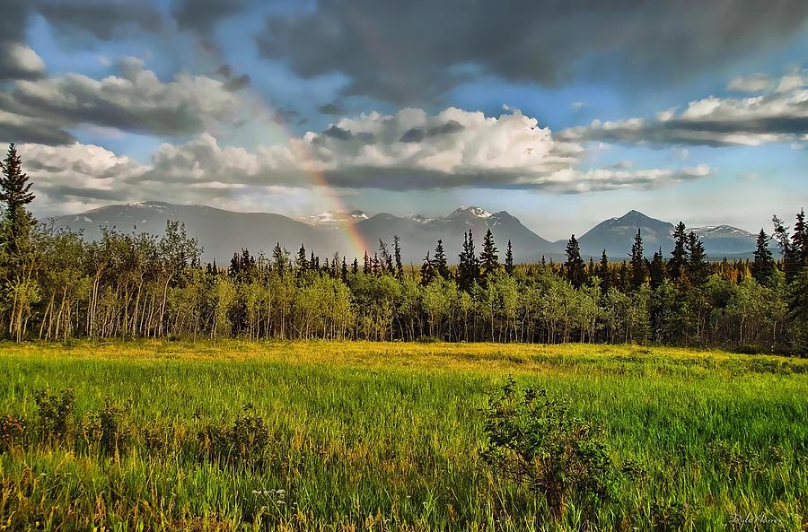 Yukon Country  Photograph by Dyle   Warren