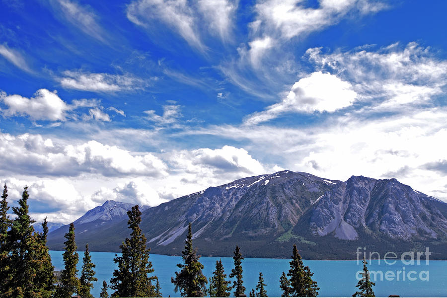 Yukon Landscape Photograph by Charline Xia