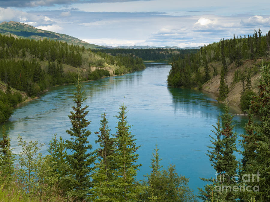 Yukon River North Of Whitehorse Yukon T Canada Photograph