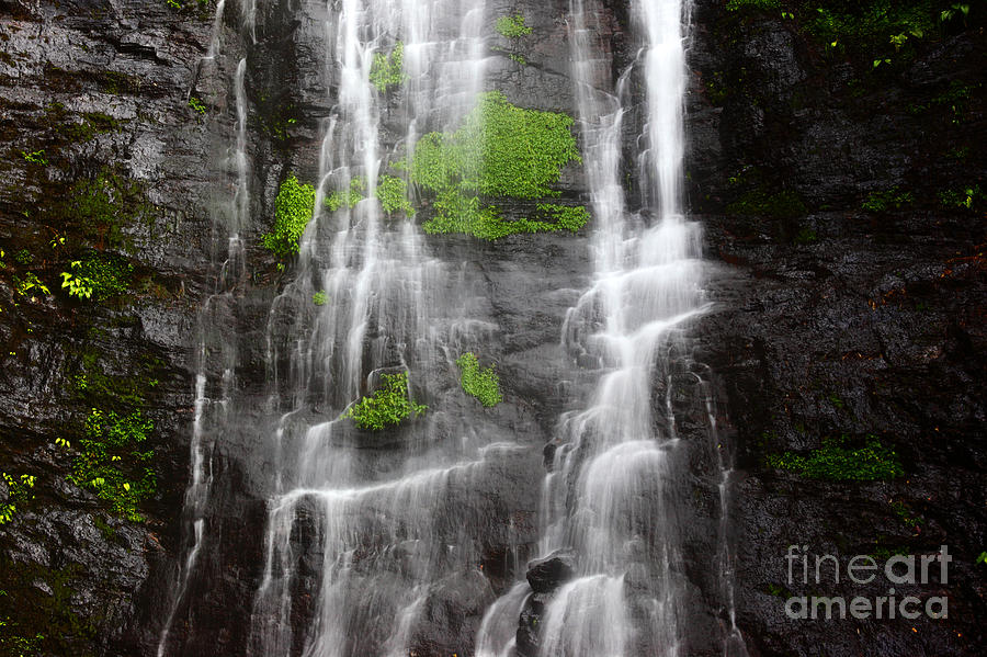 Yungas Waterfall Detail Photograph by James Brunker
