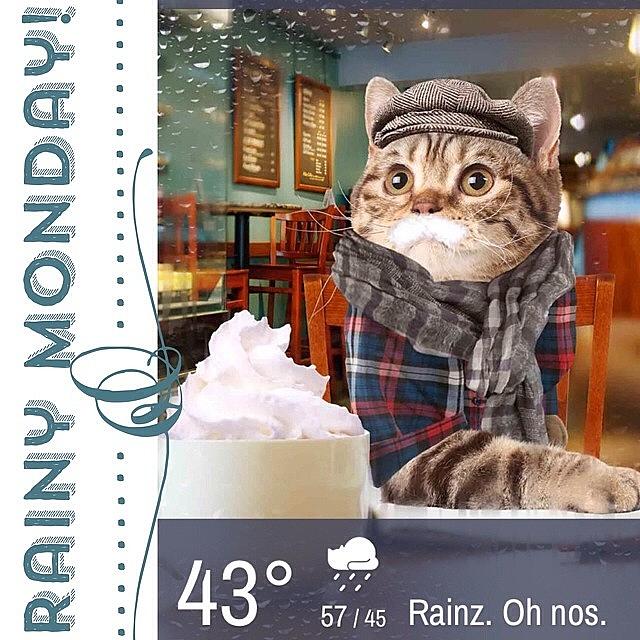 App Photograph - Yup! Its A Rainy Monday But They Have by Teresa Mucha