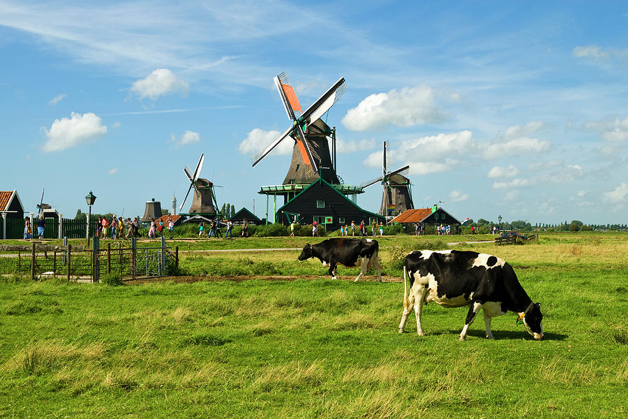 Zaanse Schans Windmills, Netherlands Photograph by John Harper