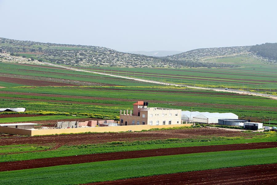Zababdeh Fields Photograph by Munir Alawi