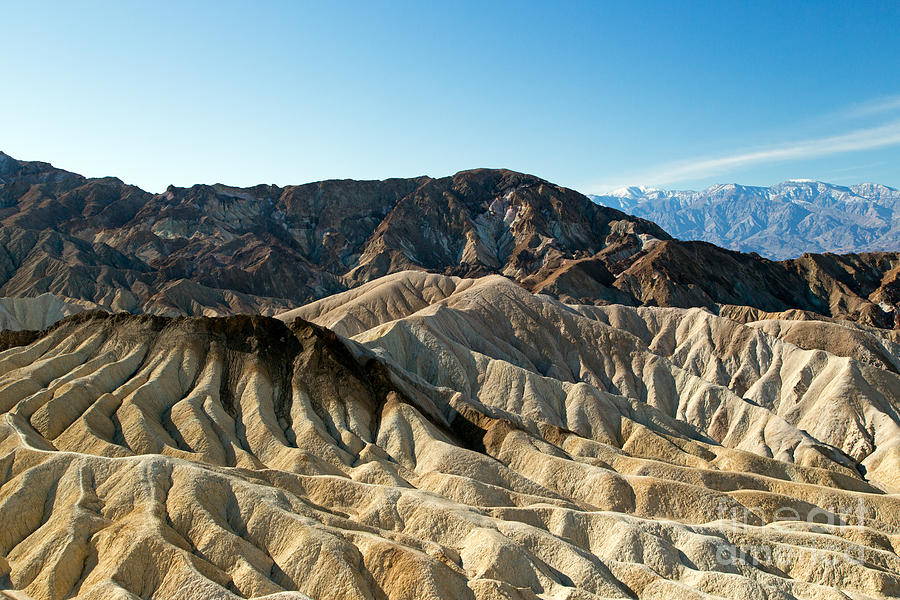 Zabrinskie Point Death Valley National Park Photograph by Fred Stearns