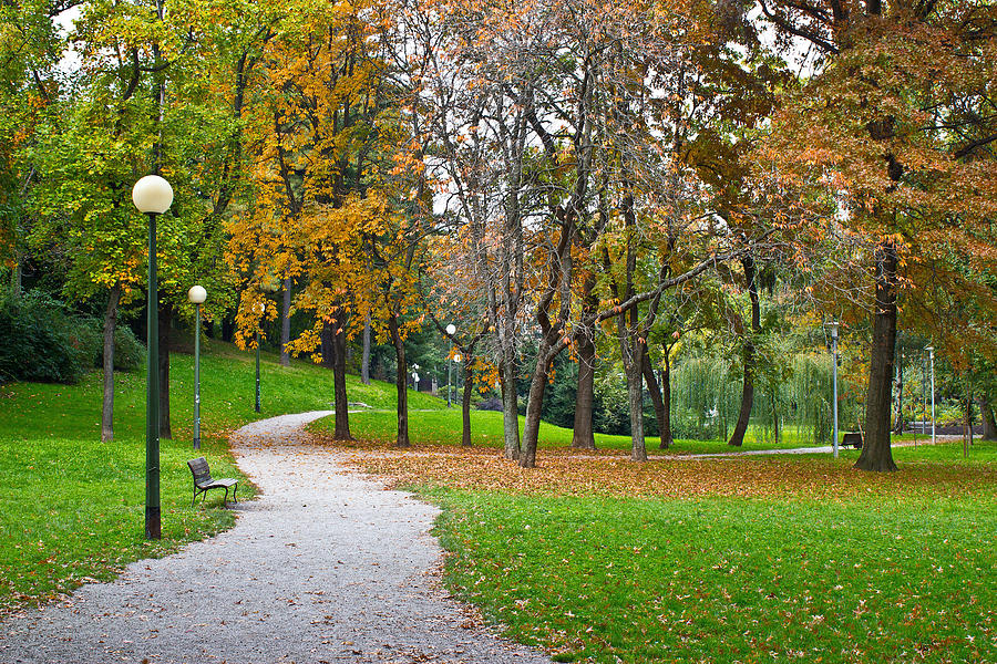 Zagreb autumn park walkway Croatia Photograph by Brch Photography