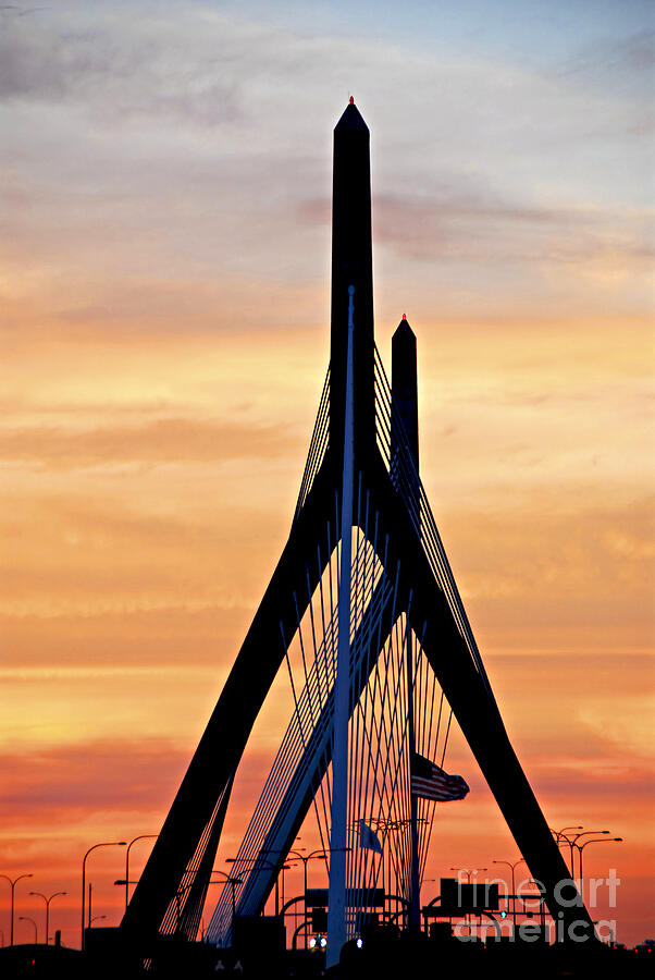 Zakim bridge in Boston Photograph by Elena Elisseeva