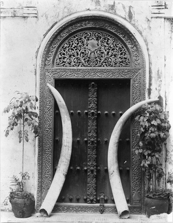 Zanzibar Doorway & Tusks Photograph by Granger