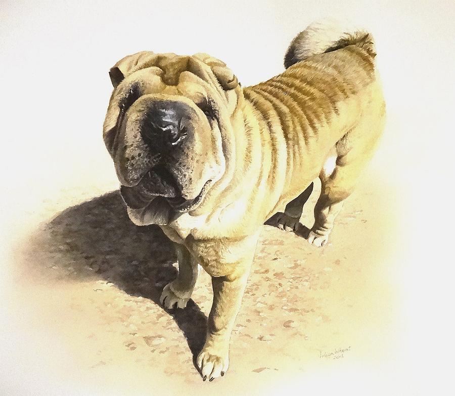 Dog Painting - Zara by Julian Wheat