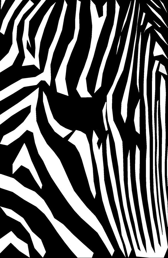 Zebra 3 Digital Art by Brian Stevens