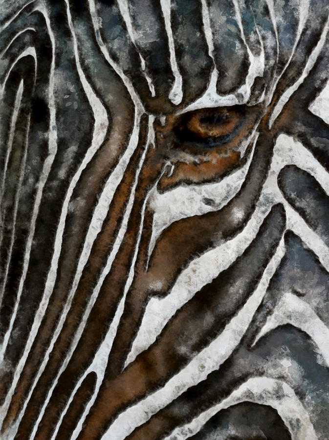 Zebra Abstract Digital Art by Ernest Echols