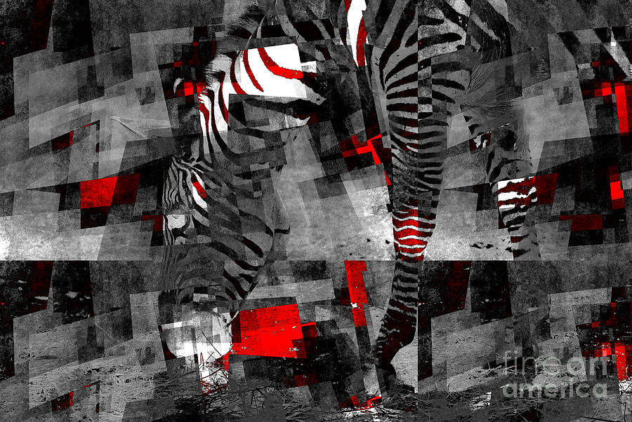 Zebra Art - 56a Photograph by Variance Collections