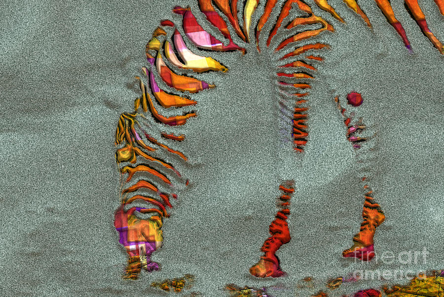 Abstract Photograph - Zebra Art - 64spc by Variance Collections