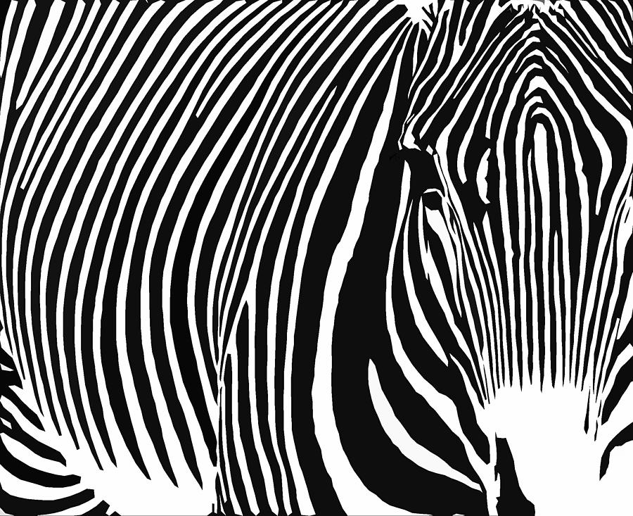 Zebra Digital Art by Brian Stevens