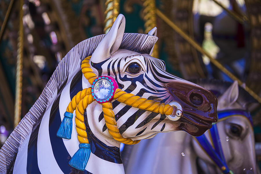 Zebra Photograph - Zebra Carrousel Ride by Garry Gay