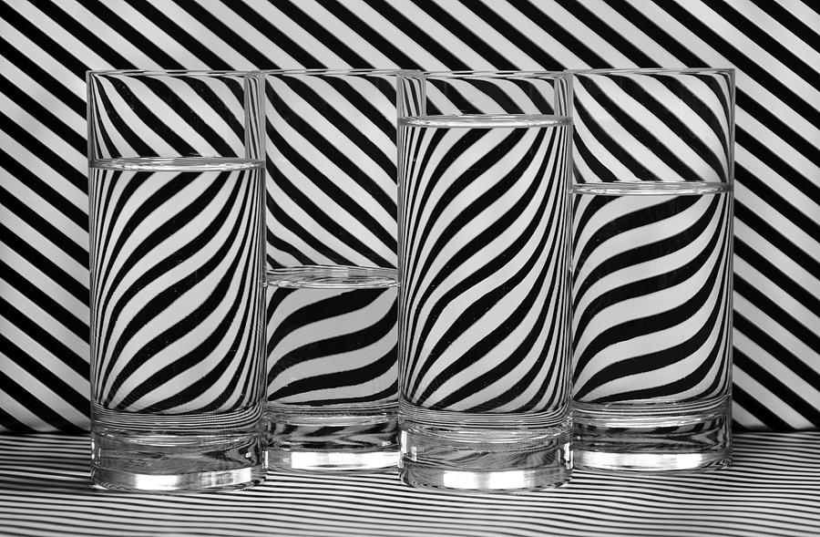Zebra Cocktails Photograph by Eleanor Bortnick