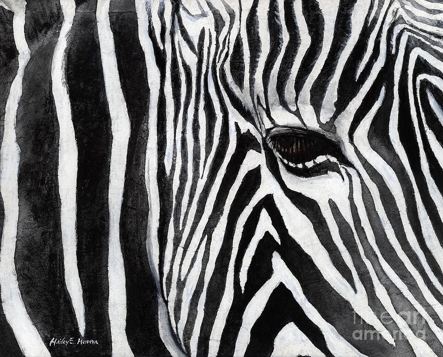 Black And White Painting - Zebra Eye by Hailey E Herrera