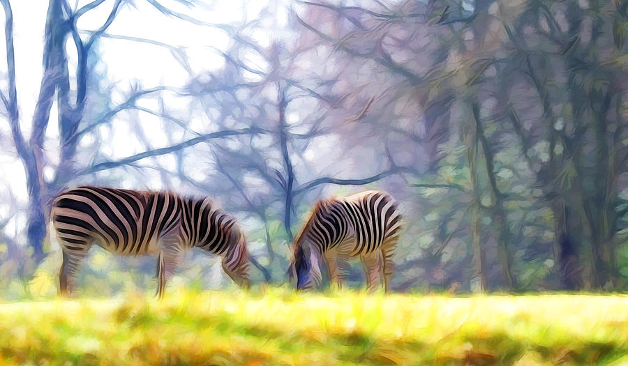 Zebra Feeding Photograph by Steve McKinzie