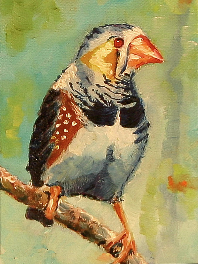 Zebra Finch Painting by Carol Jo Smidt