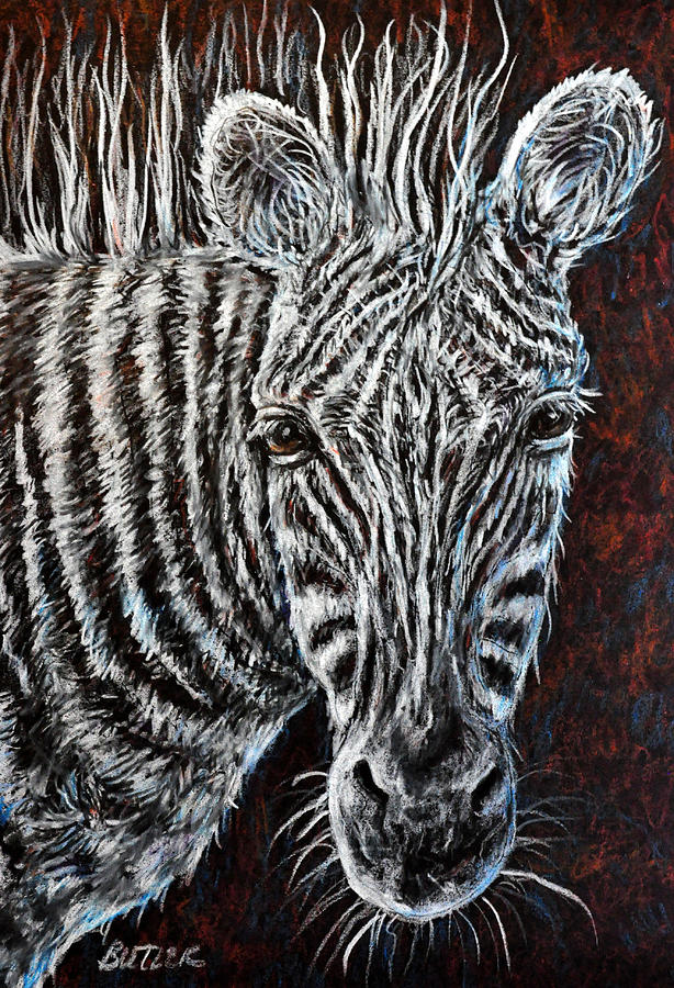 Zebra Drawing by Gail Butler