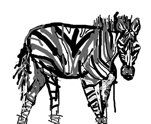 Zebra Painting - Zebra by Graca Craidy