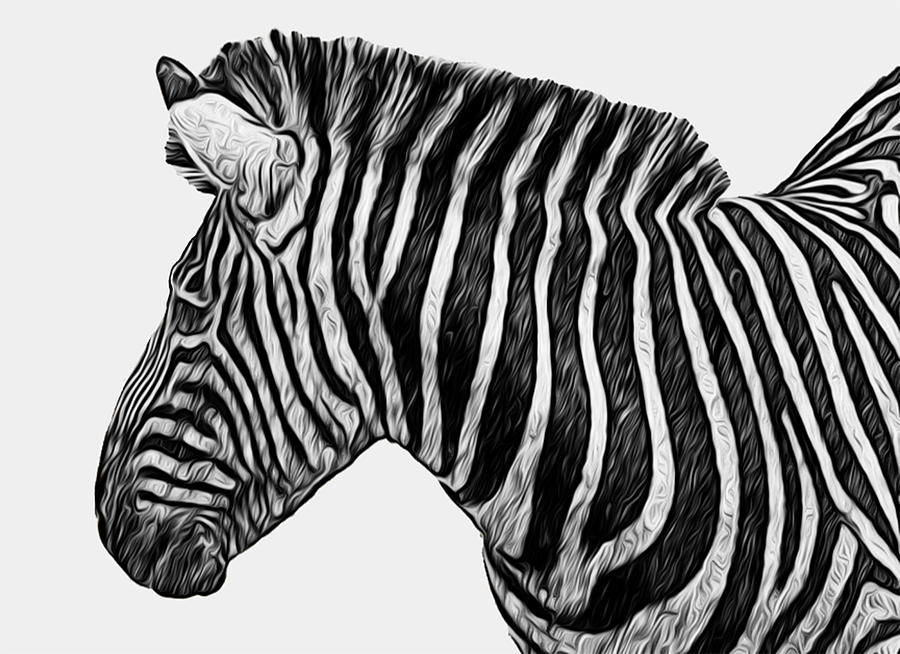 Zebra Painting - Zebra - Happened At The Zoo by Jack Zulli