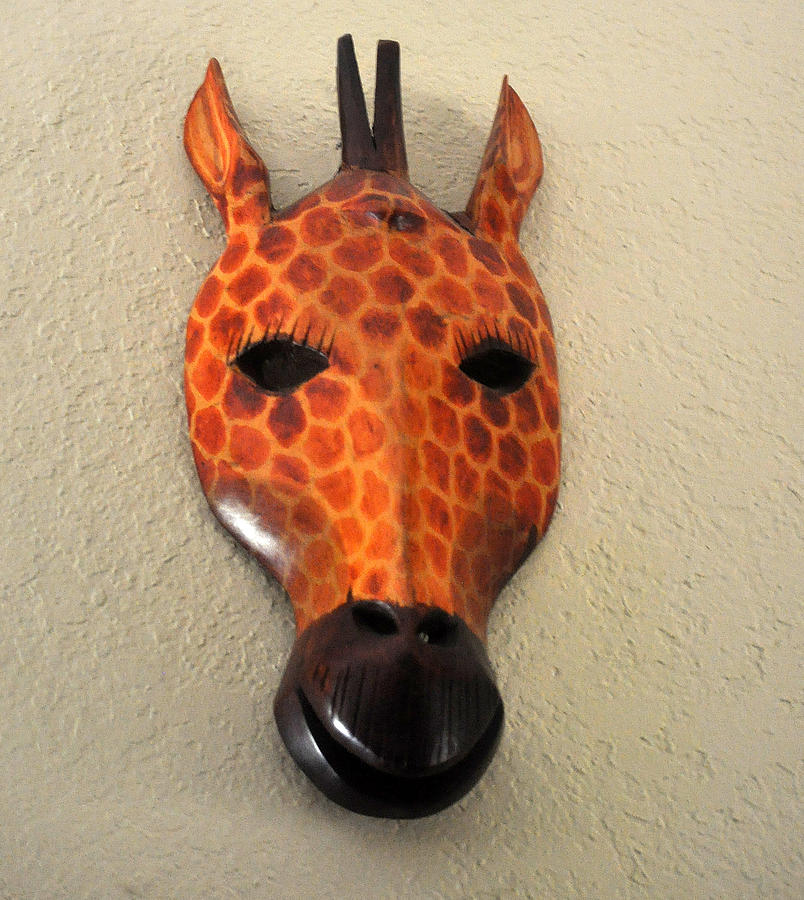 Animal Photograph - Zebra Head Mask by Jay Milo