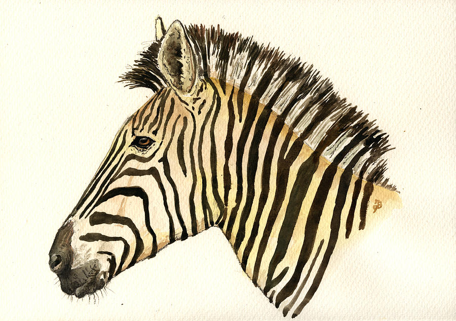 Wildlife Painting - Zebra head study by Juan  Bosco