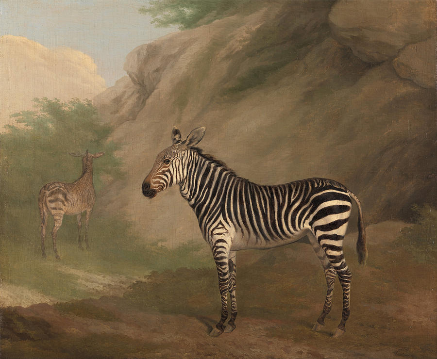 Jacques Laurent Agasse Painting - Zebra by Jacques-Laurent Agasse