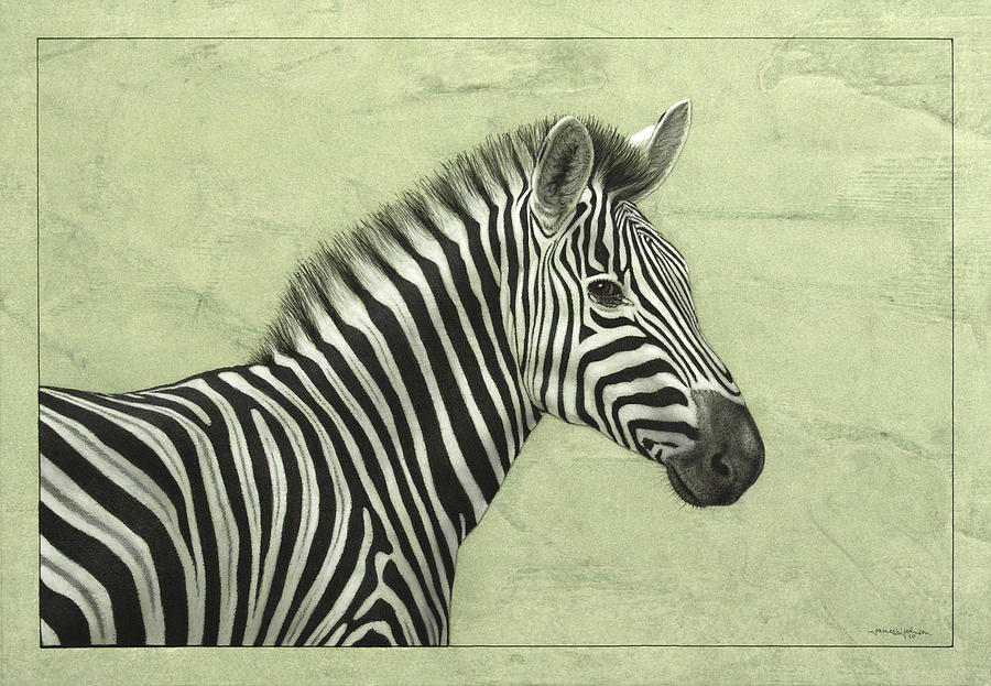 Zebra Painting - Zebra by James W Johnson