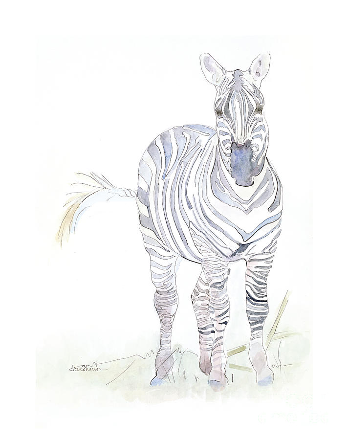 Wildlife Painting - Graceful Zebra by Joan Sharron