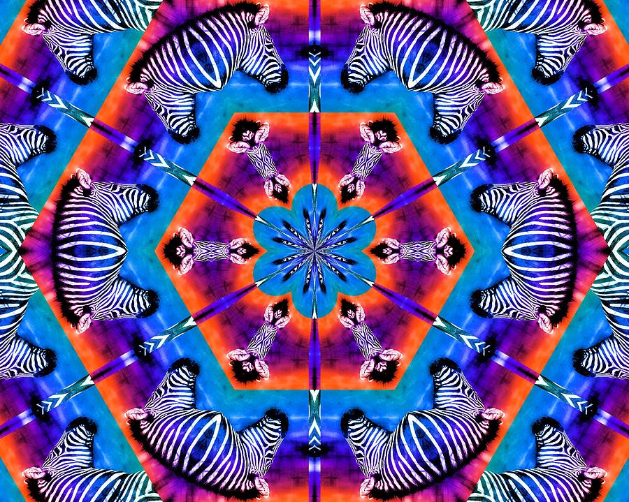 Zebra Kaleidoscope Photograph by Elizabeth Budd