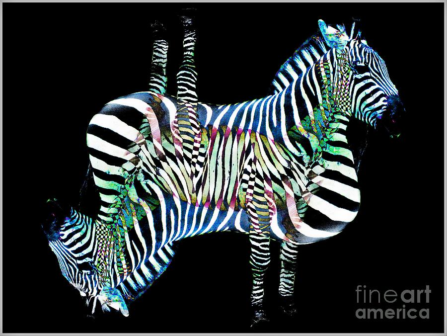 Zebra Photograph - Zebra   by Lilliana Mendez
