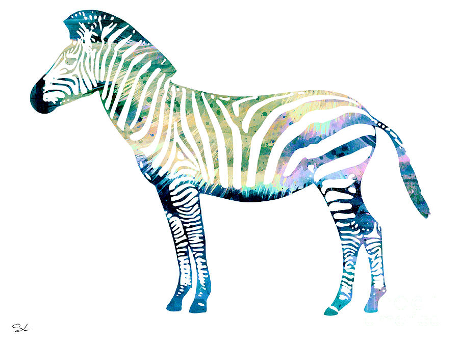 Zebra Painting - Zebra  by Watercolor Girl