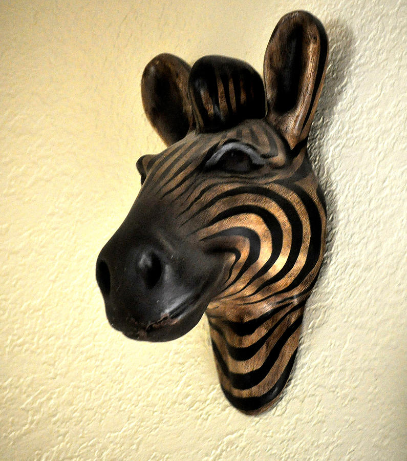 Zebra Mask Photograph by Jay Milo - Fine Art America