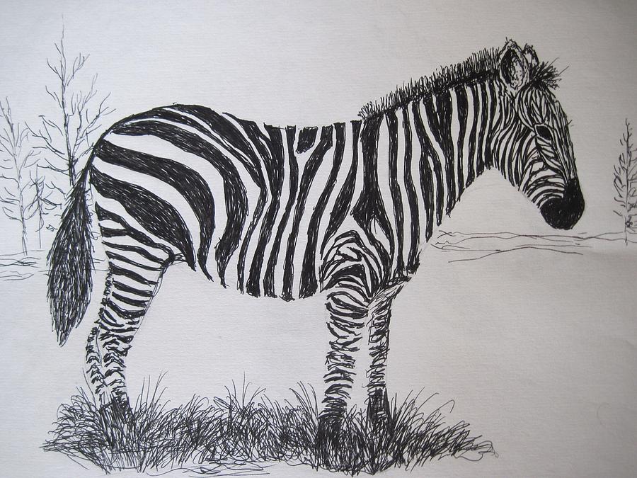 Zebra Painting by Megan Walsh