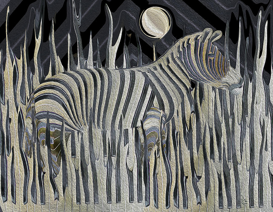 Abstract Photograph - Zebra Moonlight Melody by Stephanie Grant