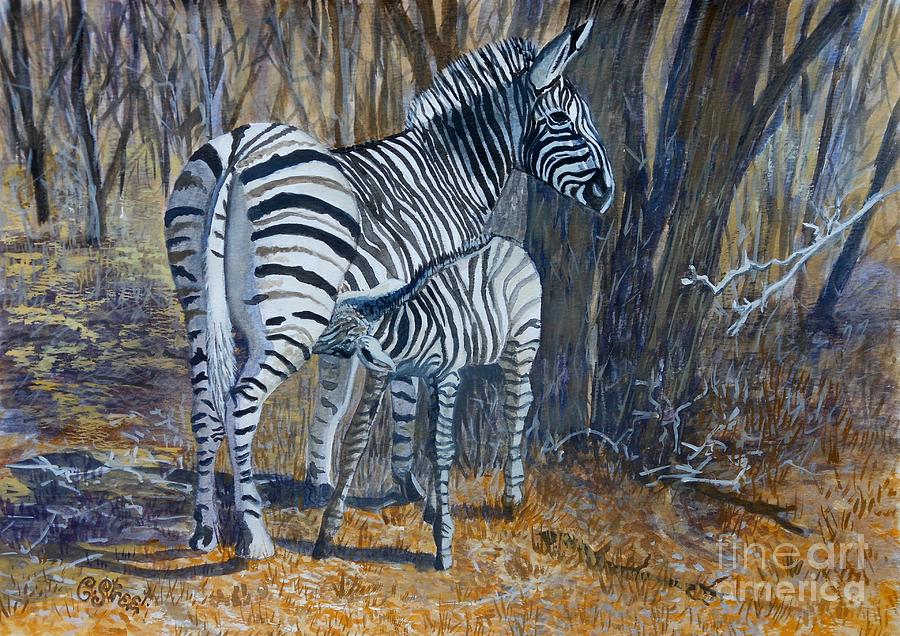 Zebra Mother And Foal Painting