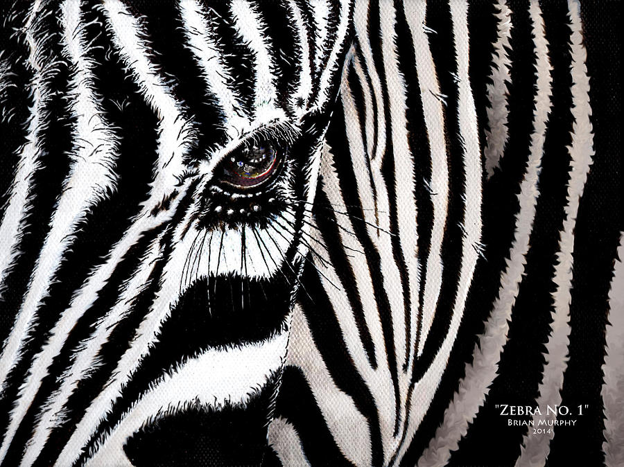 Black And White Painting - Zebra No. 1 by Brian Murphy