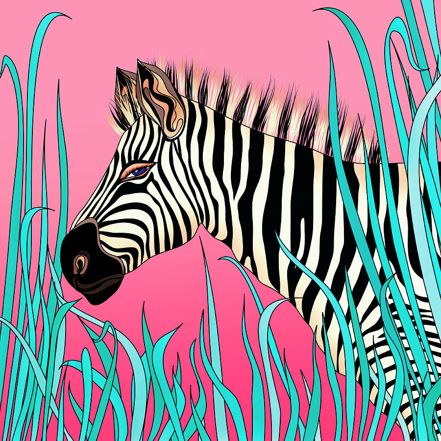 Zebra On Pink Background Photograph by Ikon Ikon Images - Fine Art America