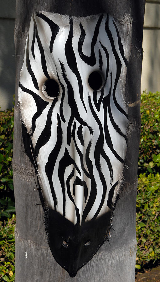 Wildlife Mixed Media - Zebra Palm Frond by Craig Incardone
