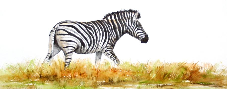 Zebra Panoramic Painting by Patricia Beebe