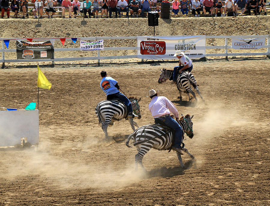 Zebra Races Photograph by Donna Kennedy